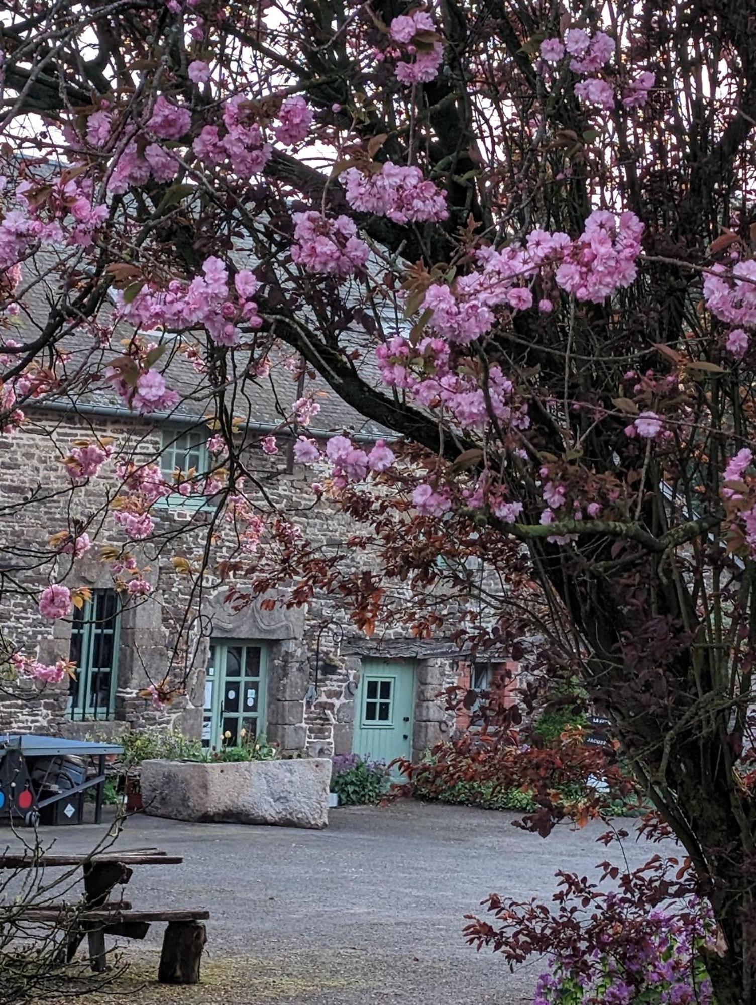 Ferme De La Gortiere Bed & Breakfast Le Teilleul Екстериор снимка