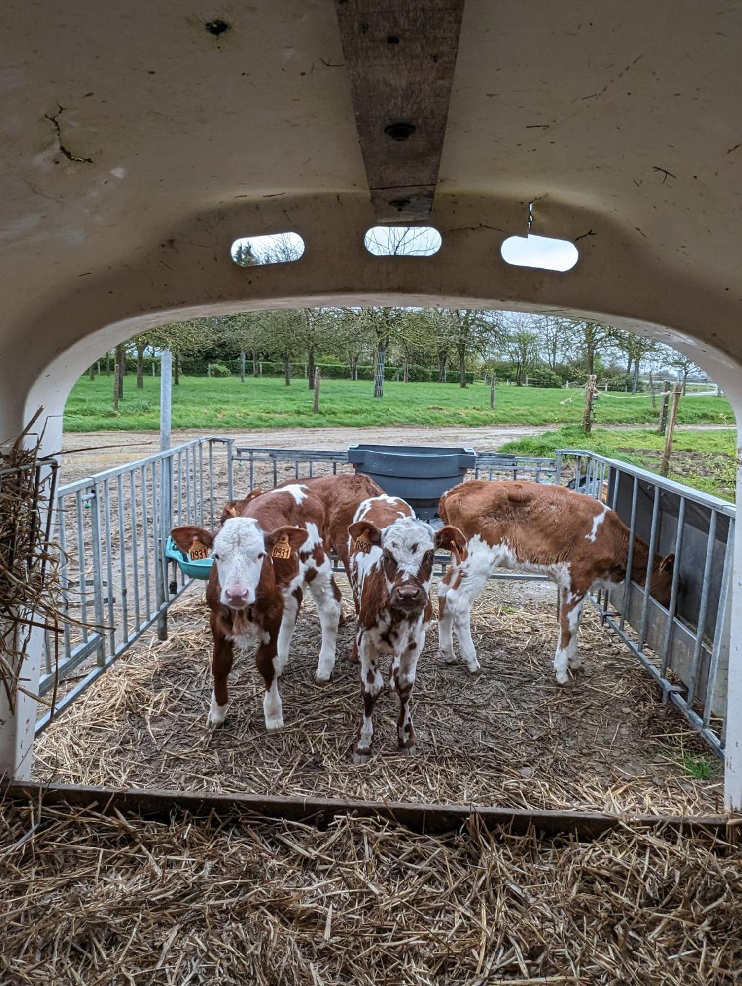 Ferme De La Gortiere Bed & Breakfast Le Teilleul Екстериор снимка